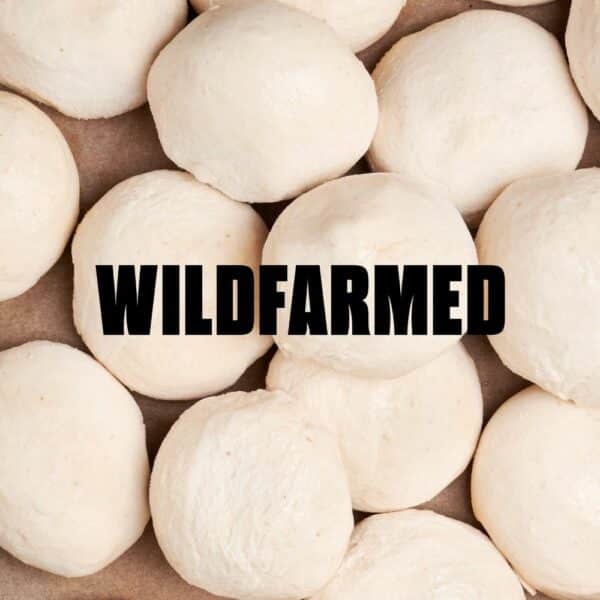Wildfarmed Sourdough Pizza Dough